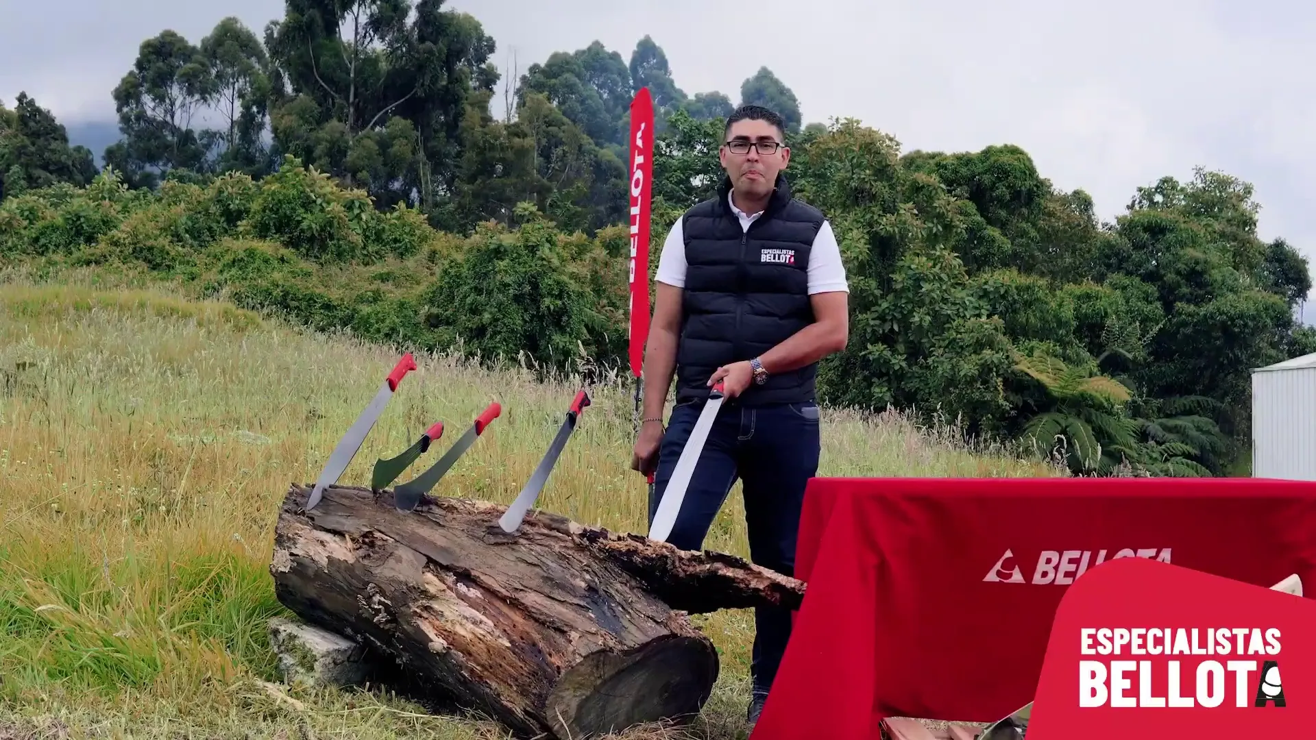 agua de lima para afilar: desvelando sus secretos